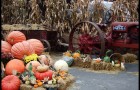 Marché d’automne