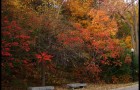 Le feu des couleurs