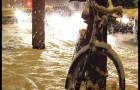 Première bordée de neige