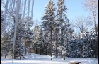 Belle matinée d’hiver !