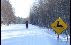 Pistes de ski nature