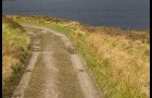 Chemin près du lac