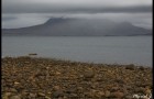 Brume marine