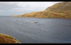 Fjord irlandais