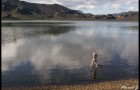 Baignade nature