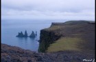 Falaises aux macareux