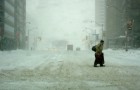 Toronto sous la neige !