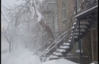 Tempête de neige