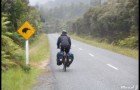Attention aux kiwis