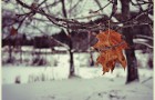 Alone…