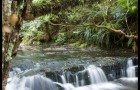 Catlin River