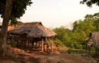 Un séjour dans la jungle thaïlandaise