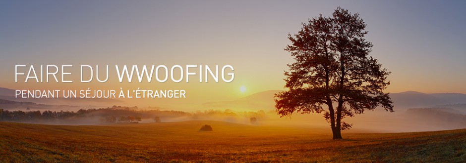 comment devenir wwoofer
