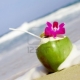 Avatar de caraibeenne
