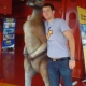 Avatar de FabienVDP
