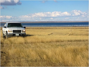 voiture-canada1-800x600.jpg