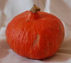 potimarron.jpg