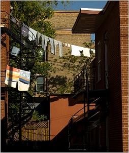 petite-italie.jpg