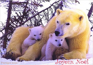 joyeux-noel.jpg
