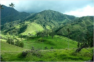 pvt-colombie-cocora-valley.jpg