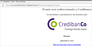 errores-amount-es-vacios.png