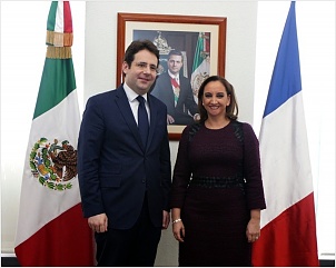 pvt-mexique-matthias-fekl-claudia-ruiz-massieu.jpg