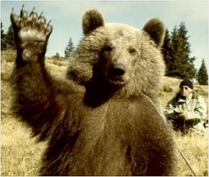 ours.jpg