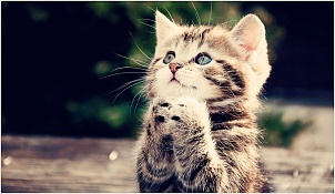 please-lord.jpg