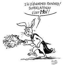 lapinou.jpeg