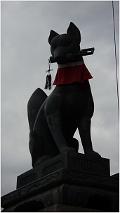 1495.jpg