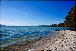 rotorua-sulphur-point-2.jpg