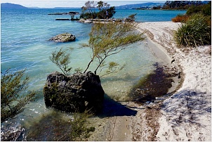 rotorua-sulphur-point-3.jpg
