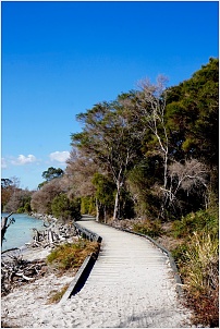 rotorua-sulphur-point-6.jpg