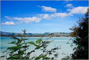 rotorua-sulphur-point-8.jpg