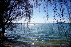 rotorua-sulphur-point.jpg