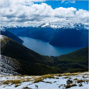 instagram-stream_square___fiordland.jpg