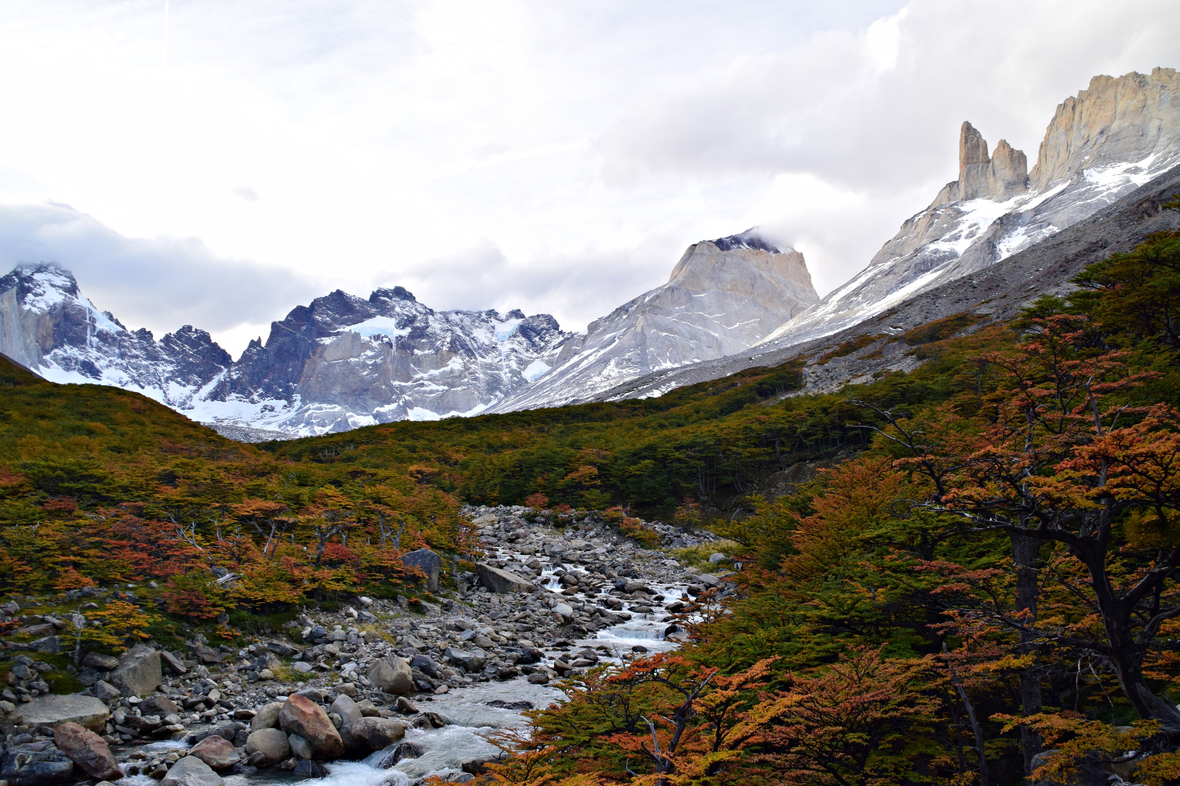 dsc_0260.jpg