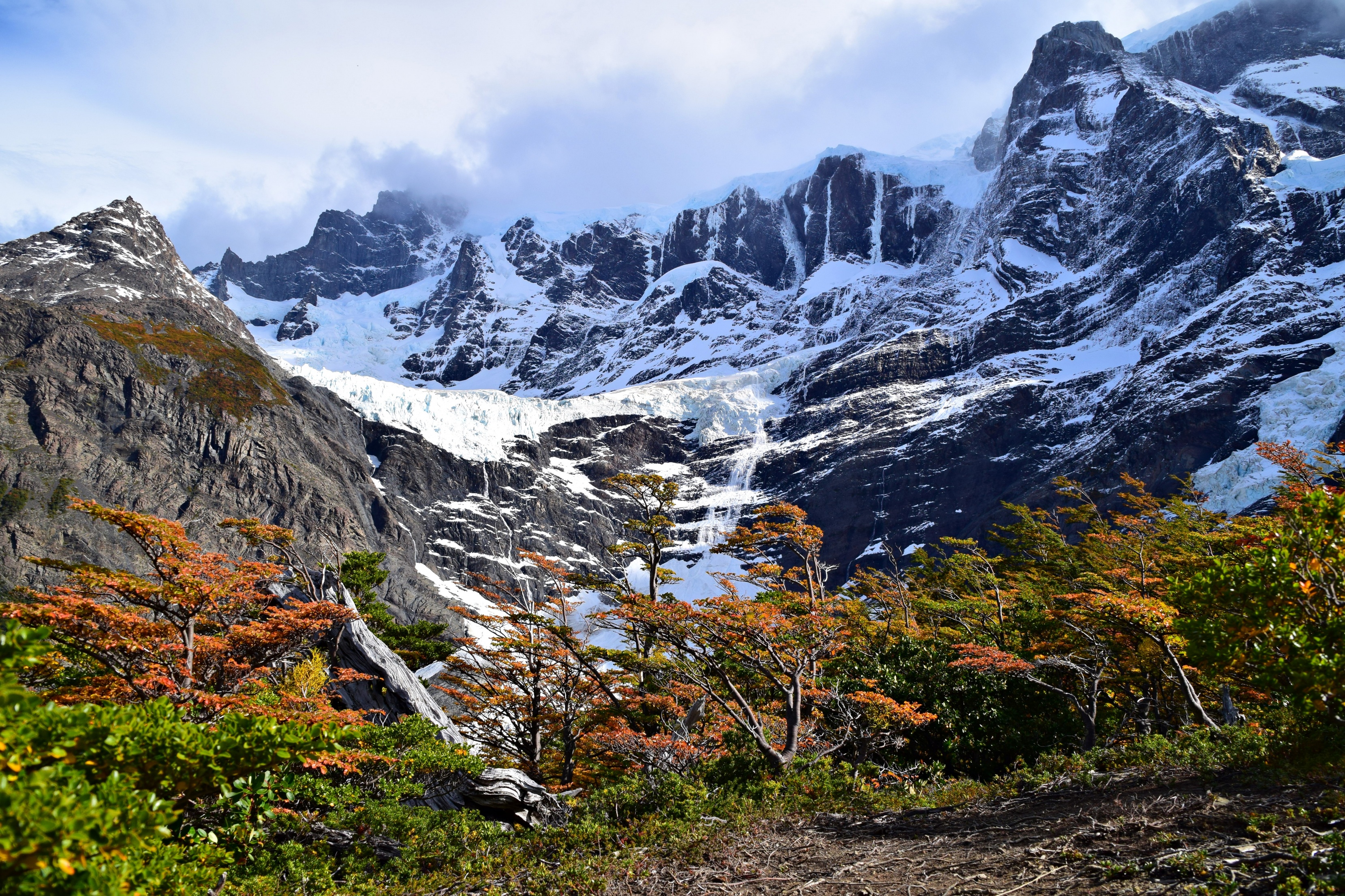 dsc_0168.jpg