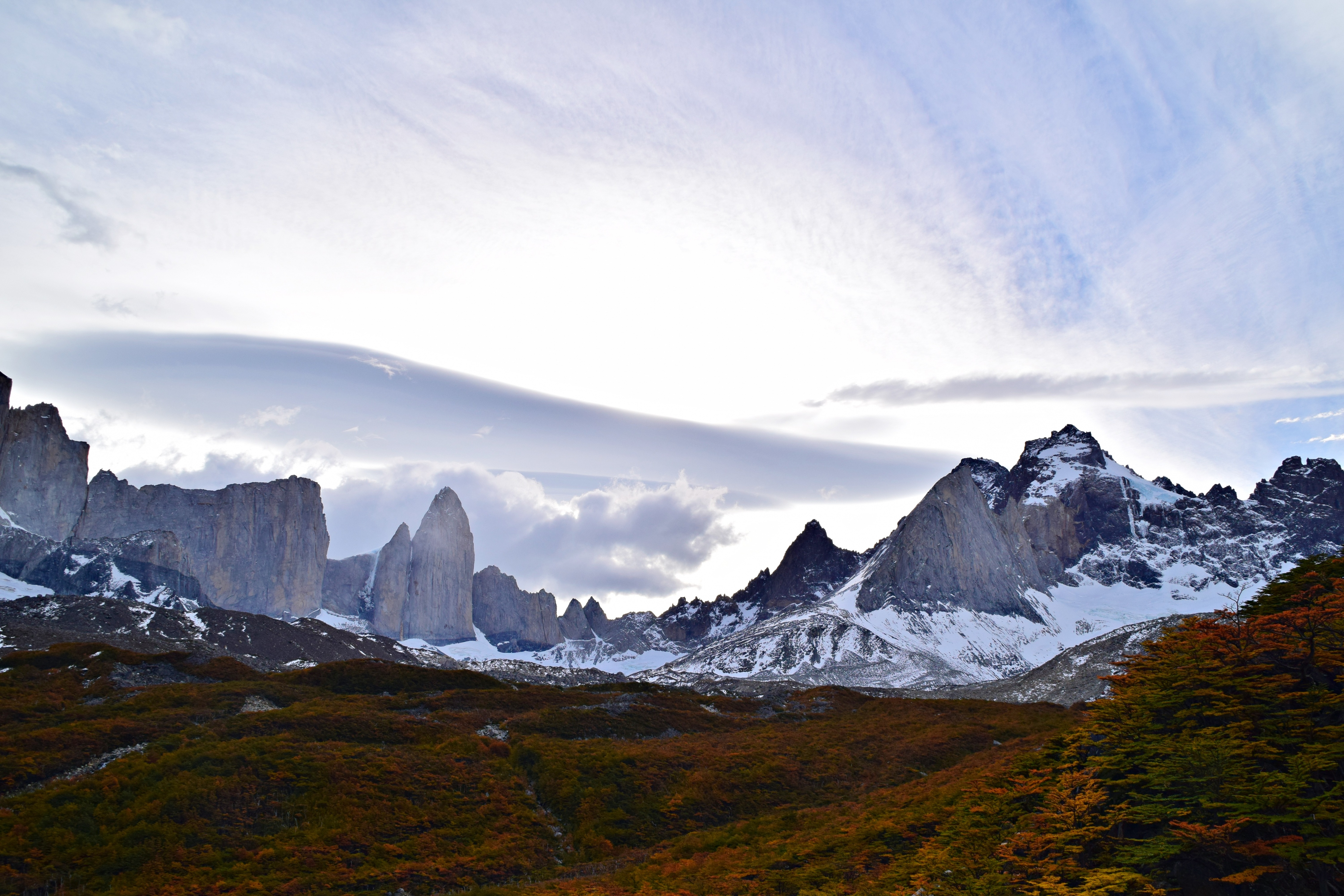 dsc_0228.jpg