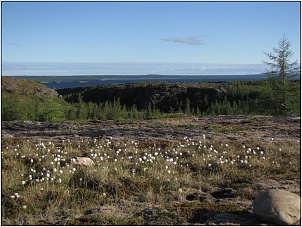 image6.jpg