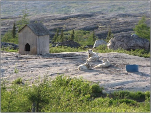 image10.jpg