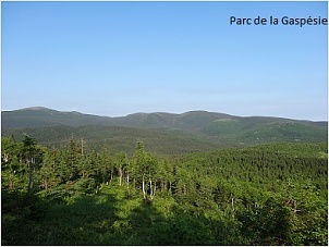 gasp-233-siere.jpg