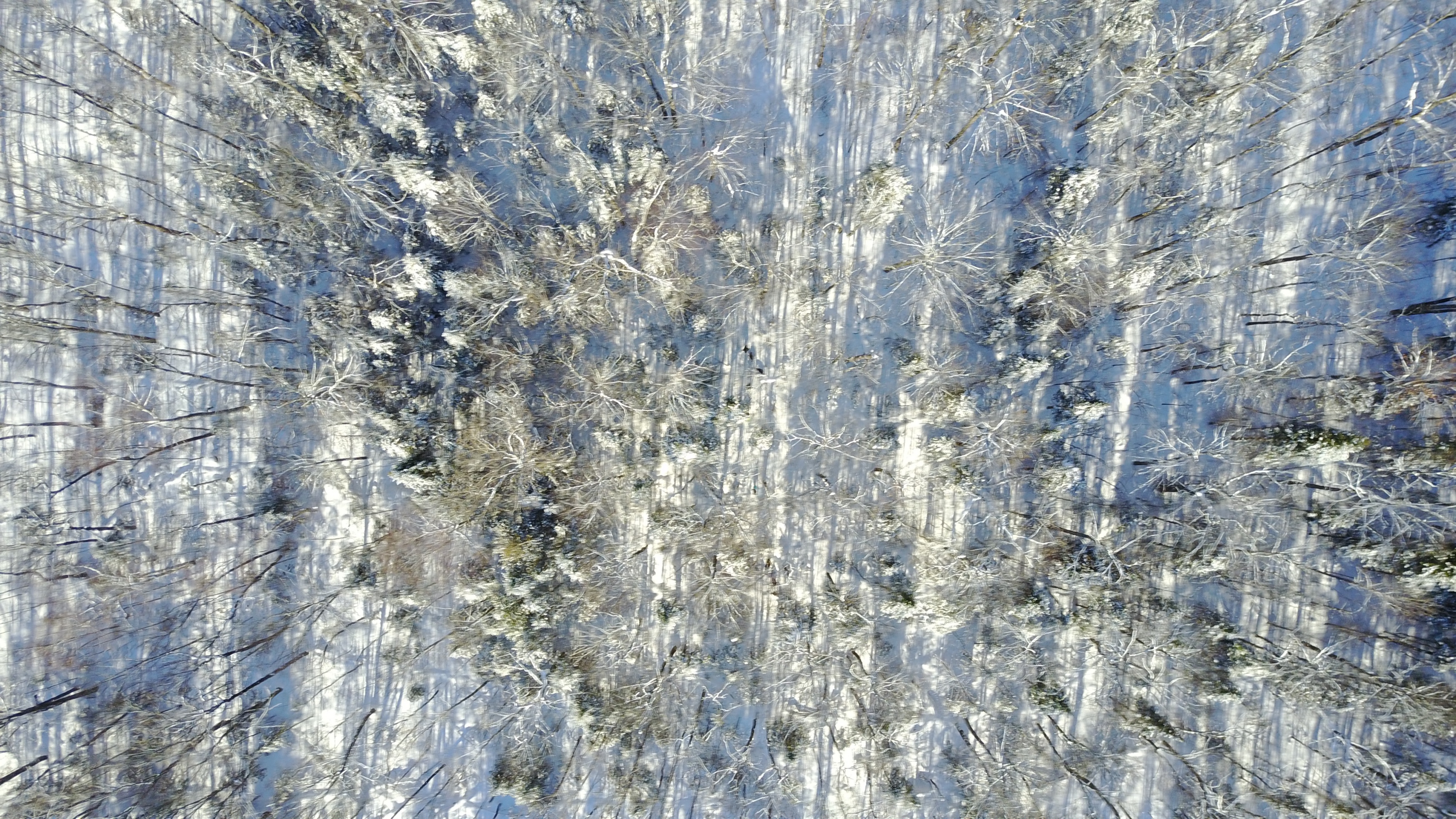 dji_0039.jpg