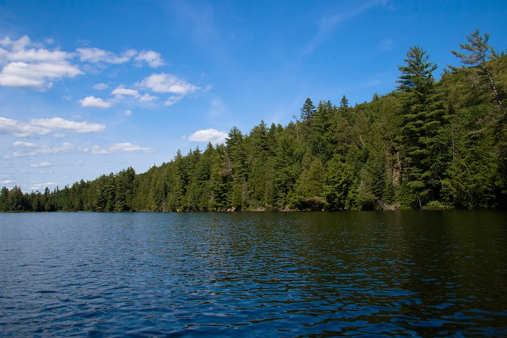 img_9933.jpg