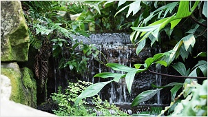 dsc02947-xl.jpg