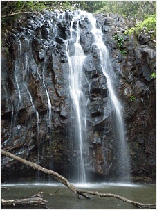 dscf1253.jpg