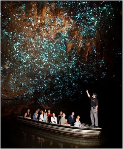 la-magnifique-grotte-de-waitomo-en-nouvelle-zelande-sillumine-dune-constellation-de-vers-luisant.jpg