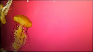 dsc04407.jpg