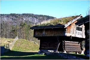dsc_2417.jpg