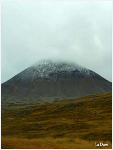 dscn0958.jpg